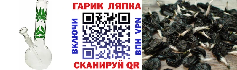 Гашиш Ice-O-Lator  Купить закладки  Завитинск 
