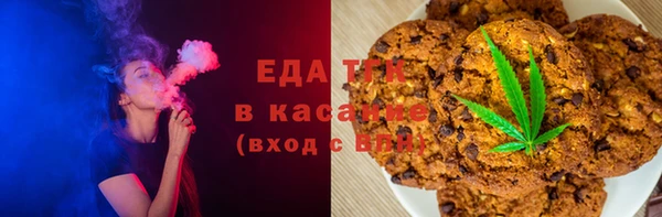 индика Козловка