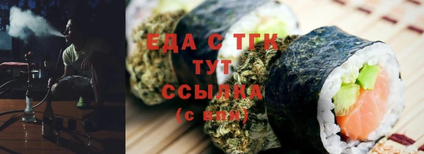 индика Козловка