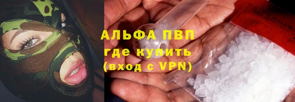 индика Козловка