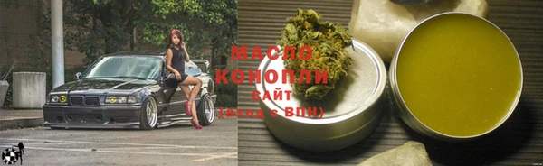 индика Козловка