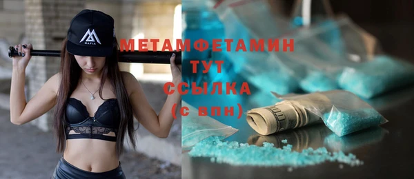 индика Козловка