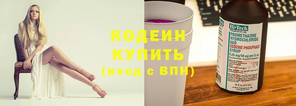 индика Козловка
