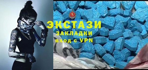 индика Козловка