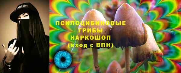 spice Козельск