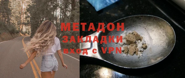 индика Козловка