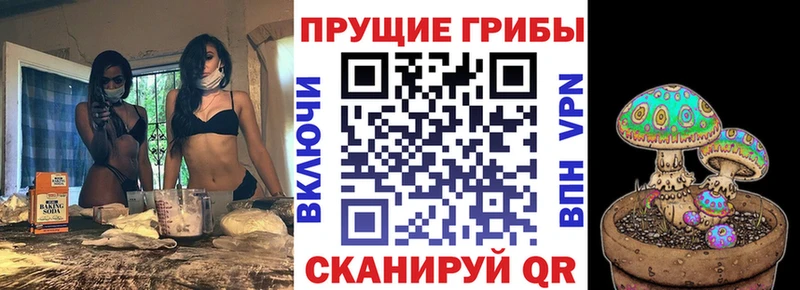 Галлюциногенные грибы Magic Shrooms  Купить закладки  Завитинск 